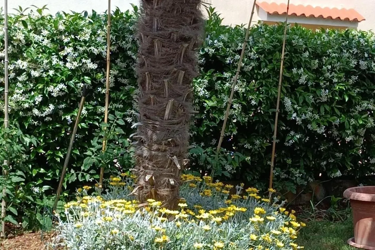 Apartment Fiorita For 4 Persons Porec Close The Beach Chorwacja