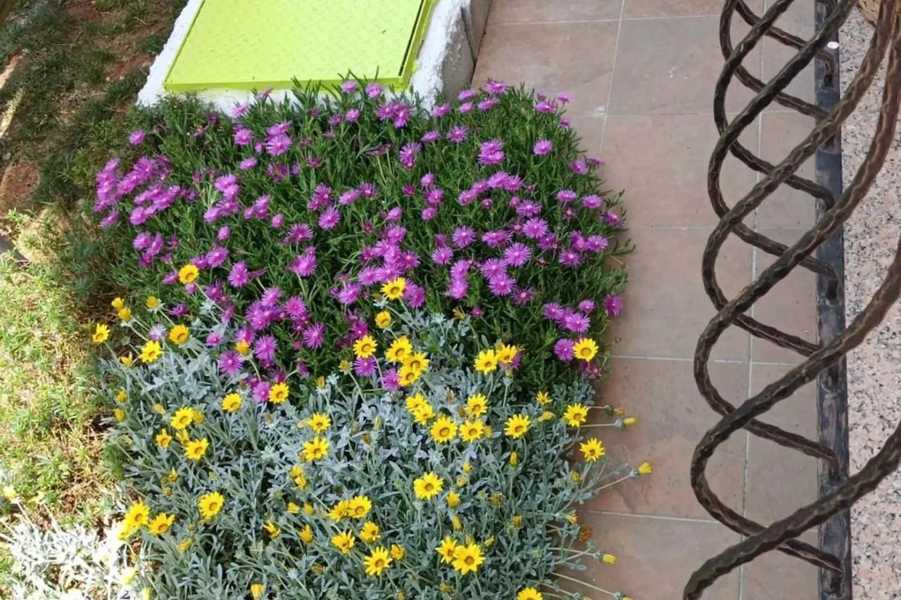 Apartment Fiorita For 4 Persons Porec Close The Beach 0*,  Chorwacja