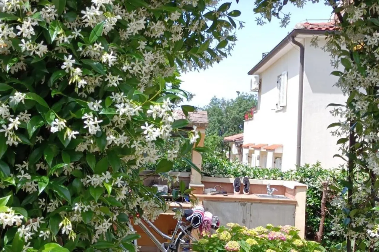 Apartment Fiorita For 4 Persons Porec Close The Beach